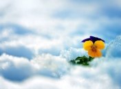 Весна несет обновление природе