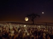 28 июля не смотрели на звездное небо