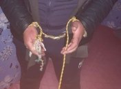 Связали, били и унижали: в полиции рассказали о похищении стоматолога в Харькове (фото, видео)