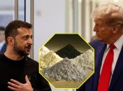 Владимир Зеленский и Дональд Трамп уже обсуждали добычу РЗМ