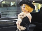 Азилия Бэнкс намекнула на дуэт с Леди Гагой 