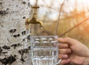 В народе на праздник было принято заготавливать березовый сок