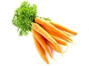 Морковь в детском питании