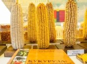 Страны ЕС стали покупать больше украинской сельхозпродукции