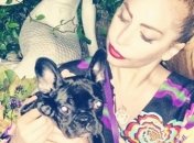 Леди Гага подарила собаке розовый трон