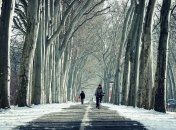 Велодорожка