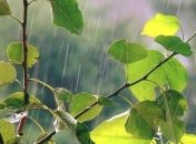 Украинцев ждут дождливые выходные