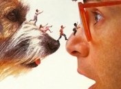 Disney продолжает реанимировать старые проекты: "Дорогая, я уменьшил детей" получит продолжение