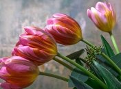 14 марта - приметы и обряды в День Евдокии