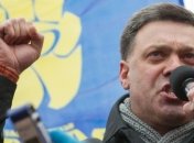 Тягнибок: Работать нужно в рамках Конституции