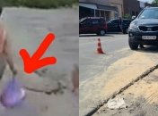 Киевлянка спаслась от серьезных увечий в ДТП... благодаря пакету с крупой (фото)