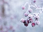 Погода в Украине стремительно ухудшается: синоптик дала прогноз