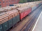 ГФС проведет масштабные проверки экспортеров леса