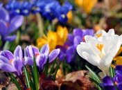 18 марта. Приметы дня