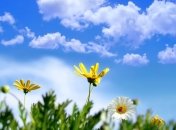 Особенно теплые дни ожидаются в апреле