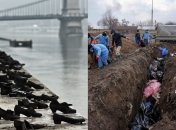 Зверства российских нацистов в Мариуполе Зеленский сравнивает с Будапештским гетто