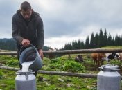 Мартынюк: Никаких запретов на закупку молока у населения нет