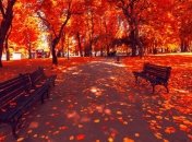 Прогноз погоды в Украине на 30 октября: ожидаются дожди со снегом