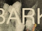 Впервые в Украине выступит даунтемпо группа Bark из Нью-Йорка (Видео)