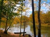 Погода в Украине на 1 ноября: в стране похолодает 