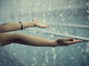 Дожди пройдут почти во всех областях