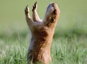 В Украину возвращается тепло