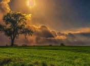 Прогноз погоды в Украине на 8 августа: на западе пройдут дожди 