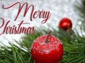 Католическое Рождество: в чем его главные отличия от православного