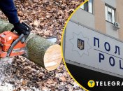 Поранился бензопилой и погиб: как заготовка дров закончилась трагедией в Полтавской области