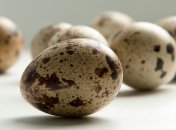 Вся правда о пользе перепелиных яиц: состав, свойства, лечение недугов