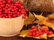 Что делать с калиной. Полезные идеи и рецепты