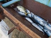 Страны Африки ежегодно теряют $20 млрд