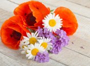 16 июля. Приметы дня