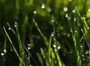 Погода в Украине 9 июля: в некоторых областях - дожди 