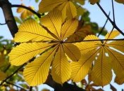 В Украину идет похолодание