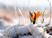 Почти весна: погода 14 февраля в Украине будет теплой и безветренной