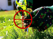 Метод, идеально подходящий для весны