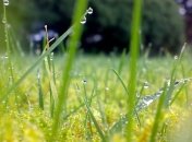 Прогноз погоды на 5 июня: незначительное снижение температуры и дожди