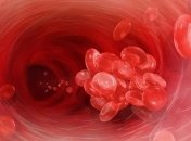 Как питаться при густой крови?