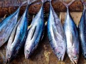 Врачи назвали продукт помогающий снизить уровень холестерина