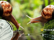 В Украине продают улиток Helix Aspersa Muller