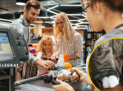 Кот в магазине