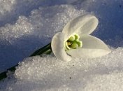 Какой праздник 1 февраля: народные приметы и запреты