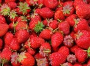 Як збільшити врожай полуниці