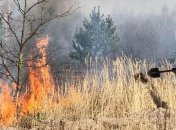 Поджигателя задержали: в Киевской области потушили очередной пожар