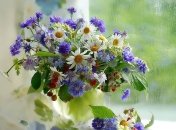 7 мая. 5 вещей «made your day»