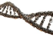 Технология редактирования генов прошла испытание на людях