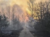 Рада увеличила штрафы за сжигание сухой травы