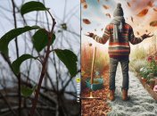 Что делать, если дерево не сбрасывает листья, а зима уже близко