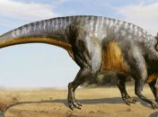 Із чого зроблений динозавр? Вчені з'ясували, як їх скелети витримували їхню величезну вагу